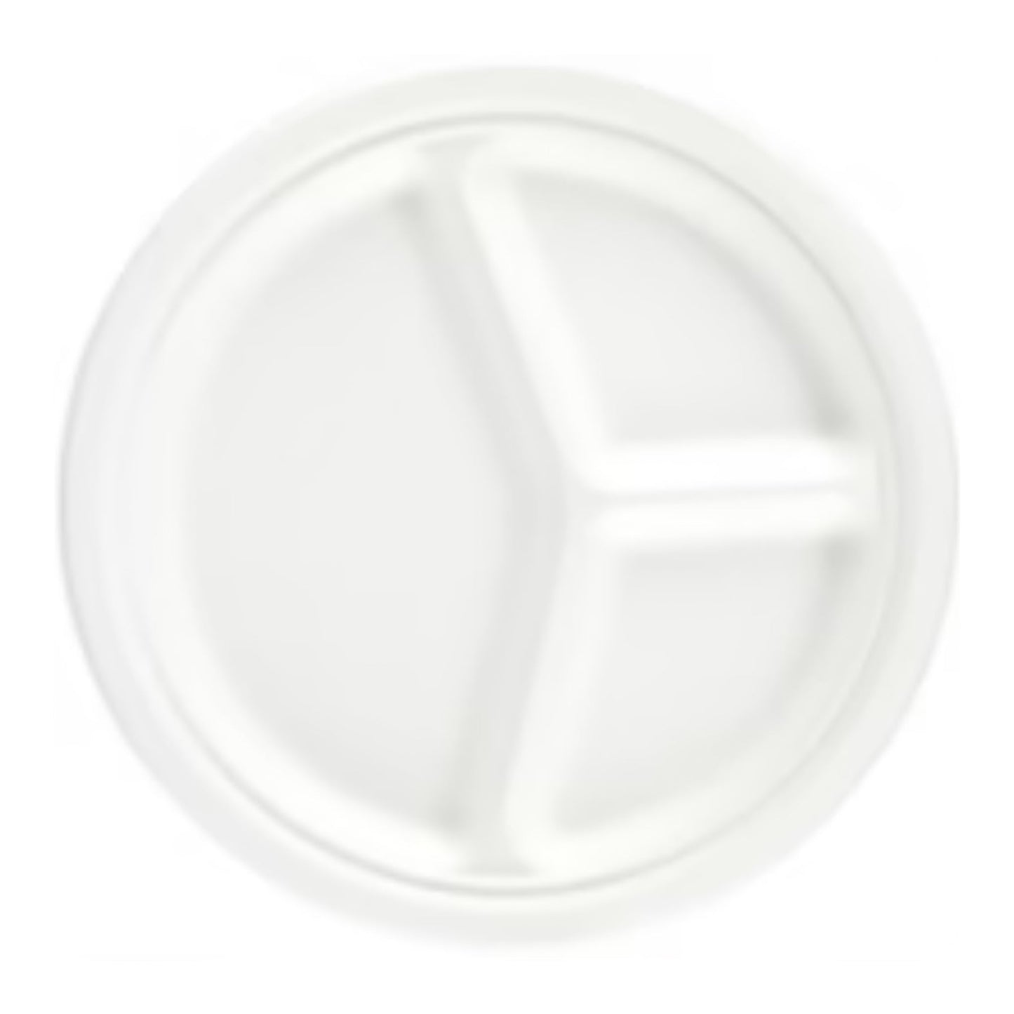 White Paper Plate
