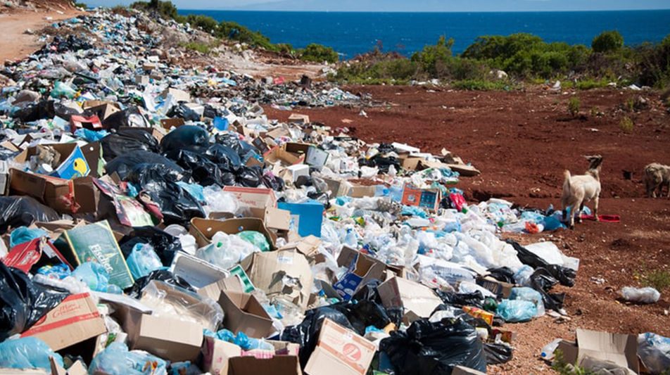 How to Reduce Food Waste And Packing Waste