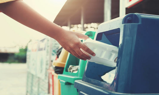 A Definitive Guide to Food Waste Management for all Businesses