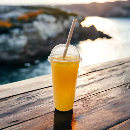 20oz Clear Plastic Smoothie Cups