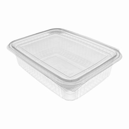 Clear Hinged Plastic Container