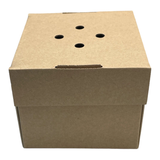 Corrugated Gourmet Burger Box