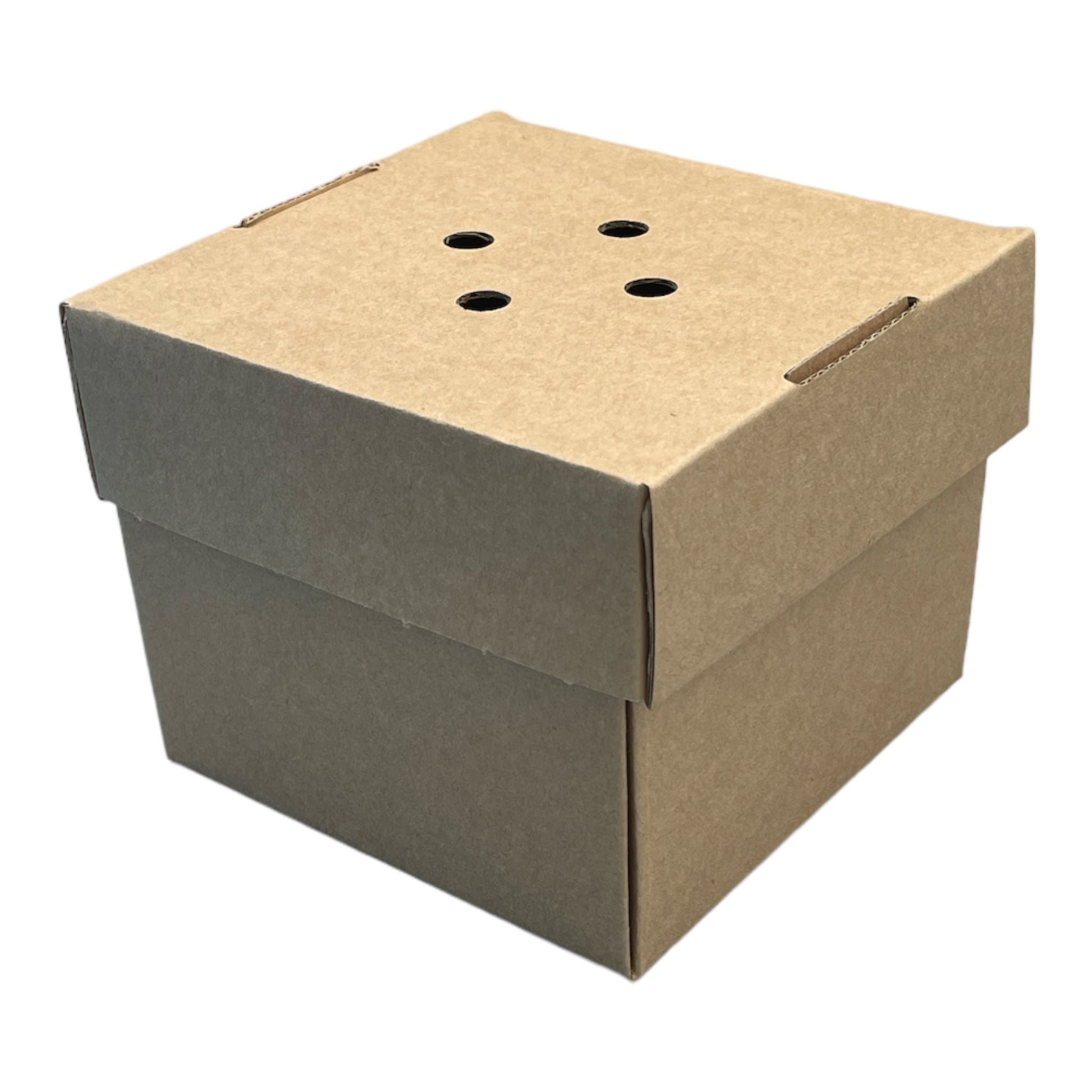 Corrugated Gourmet Burger Box