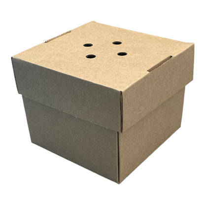 Corrugated Gourmet Burger Box