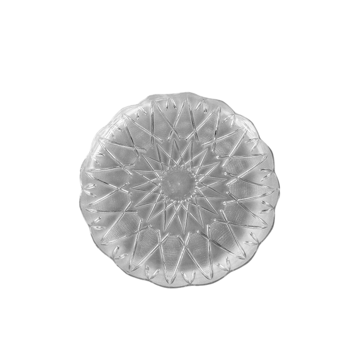 Clear Plastic Round Tray [20cm]