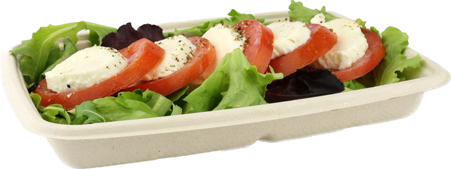 Sabert 600ml Rectangular Pulp Container (Base)