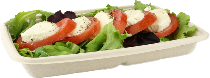 Sabert 600ml Rectangular Pulp Container (Base)